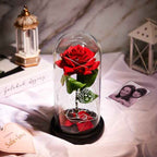 Custom Photo LED Night Light with Romantic Red Rose in Glass Dome